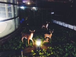 -梦田都市农场(银泰城店)