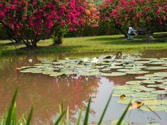 -西双版纳傣族园