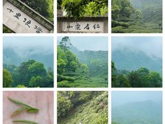 -灵隐寺