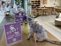 -丽达购物中心(崂山店)