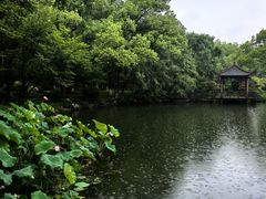 -浙江西子宾馆·瑶园咖啡厅