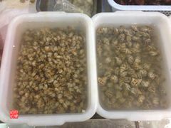 -胶东海鲜大排档(北太平庄店)