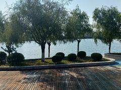 -鉴湖国家城市湿地公园