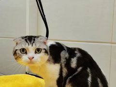 -芭比堂宠物医院·全科爱猫医院·仁德分院