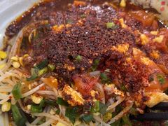 -手擀菠菜面(西康路店)