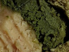 抹茶绿豆奶酥面包-谷艺烘焙