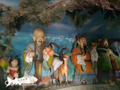 -东方巨龟苑景区