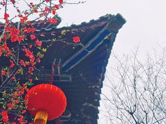 -都江堰普照寺