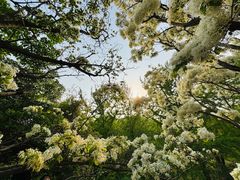 -国家植物园南园