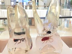 -光启城时尚购物中心