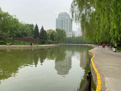 -团结湖公园