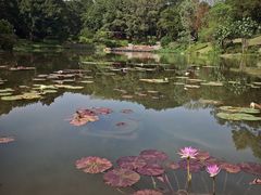 -云溪植物园