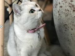 -小时光咖啡馆(北锣鼓巷店)