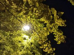 -辽宁大学(崇山校区)