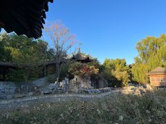 -大望京公园