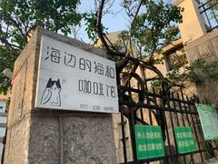 -海边的猫和咖啡馆