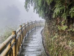 -沐川竹海旅游景区