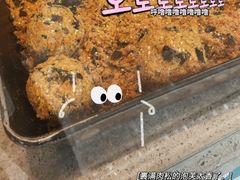 -丁丁&当当牦牛酸奶·酥油面包(官门口店)