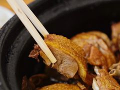 -百家春好德来姜母鸭