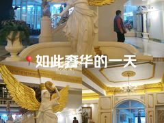 -金东尼人妖秀