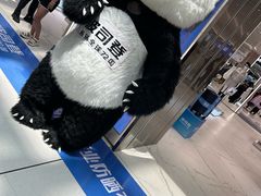 -融创茂(青岛店)