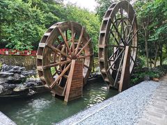 -广州白江湖森林公园