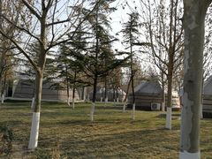 -九十九顶毡房(阜石路店)