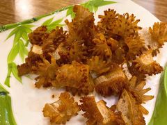黄金猪皮-傣香原味·傣味特色菜·手抓饭(呈贡吾悦广场店)