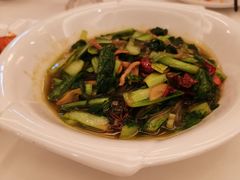 -金春禧(世茂国际广场店)