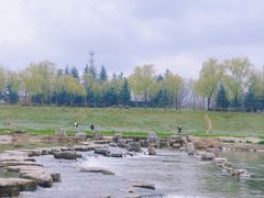 -洨河生态公园