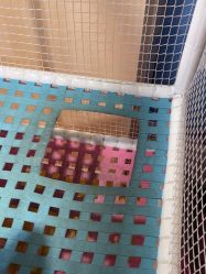 -多奇妙乐园·淘气堡·电玩·抓娃娃(海口吾悦店)