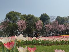 -凤凰沟景区
