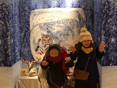 -香厨中餐厅(松北香格里拉店)