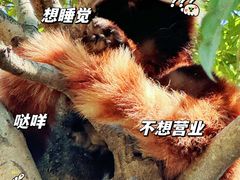-安吉竹博园