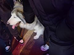 -HIB HUB公社(解放西路店)