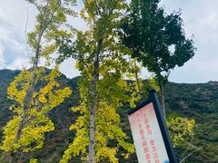 -泸定桥景区