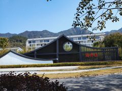 -南丹山森林王国
