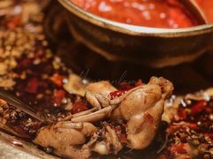 -哥老官重庆美蛙鱼头(松江地中海十八哥店)
