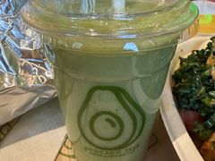 -油梨树AVOCADO TREE(望京店)