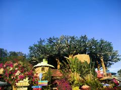 -三亚红色娘子军演艺公园景区