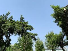 -四川大学(望江校区)