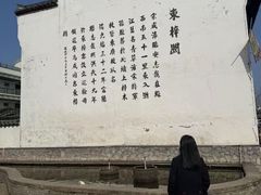 -东梓关景区村庄