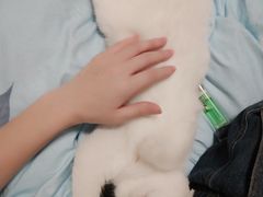 -FAELING PETS美天灵宠物(富力广场店)