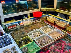 -东江海鲜大排档·潮汕菜·砂锅粥