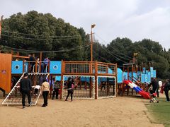 -白马涧龙池景区