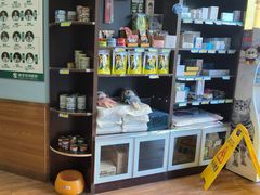 -瑞派·关忠动物医院·异宠专科·犬猫肿瘤·皮肤专科(望京店)