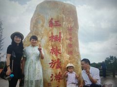 -东寨港红树林旅游区