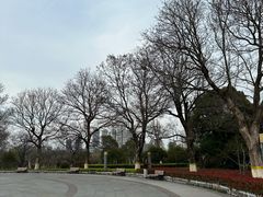 -云龙湖旅游景区