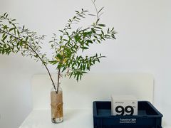 -UNIUNI(凯瑟琳广场店)