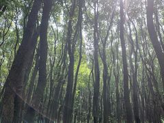 -同里国家湿地公园